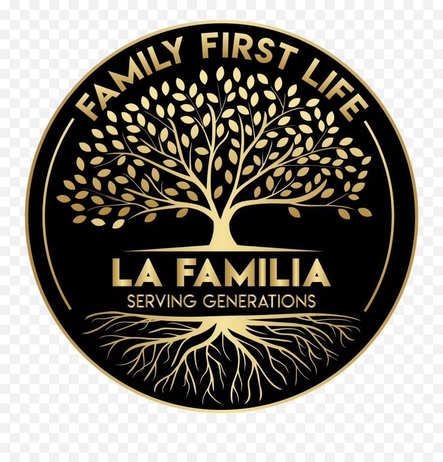 Life Insurance Jobs - Miracle Family Protection Staten Island Flag Nyc Png,Familia Png