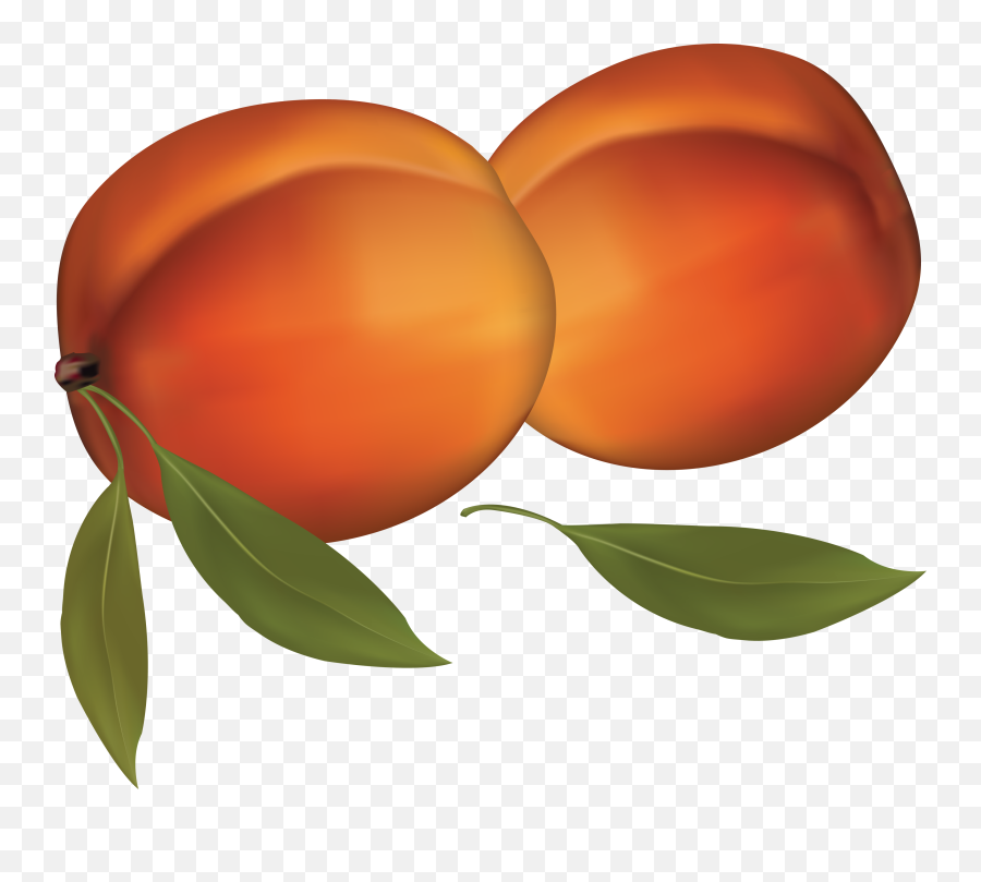 Peach Png Image - Peaches Clipart Transparent Background,Peach Transparent Background