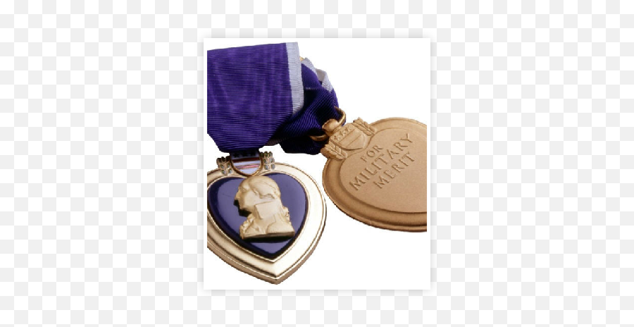 Chapter 776 Moph - Purple Heart Medal Logo Transparent Png,Purple Heart Medal Png