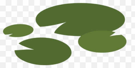 Lily Pad - Circle Png,Lily Pad Png