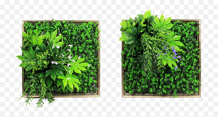 Vertical Garden Png Picture 1935964 - Artificial Vertical Gardens Us,Boxwood Png