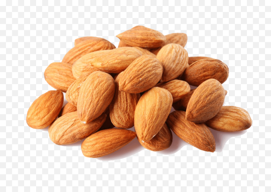 Almond - Freepngimage Gilgit Baltistan Dry Fruit Supplier Dry Fruit Png,Fruits Png