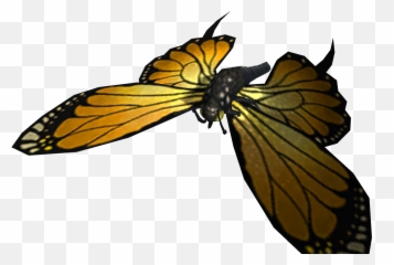 Mounts And Pets To Match The Sprite Darter Wings Transmog - Pieridae png