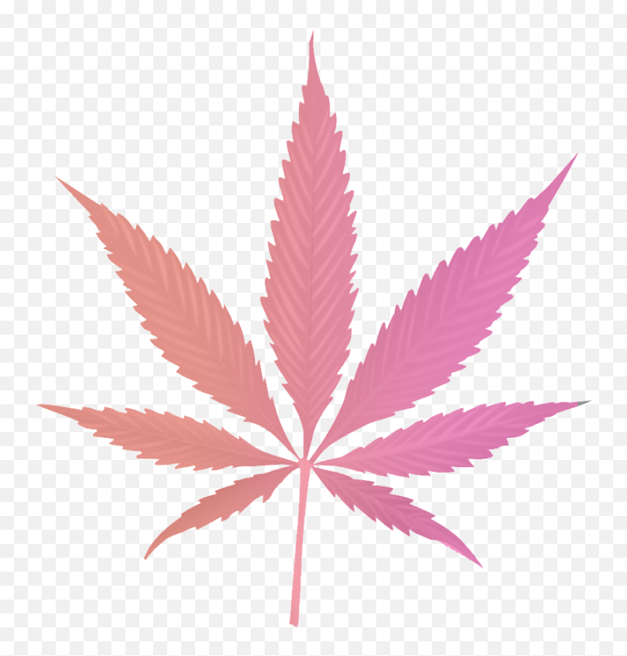 Paradiso Gardens - Hemp Leaf Png,Indica Icon