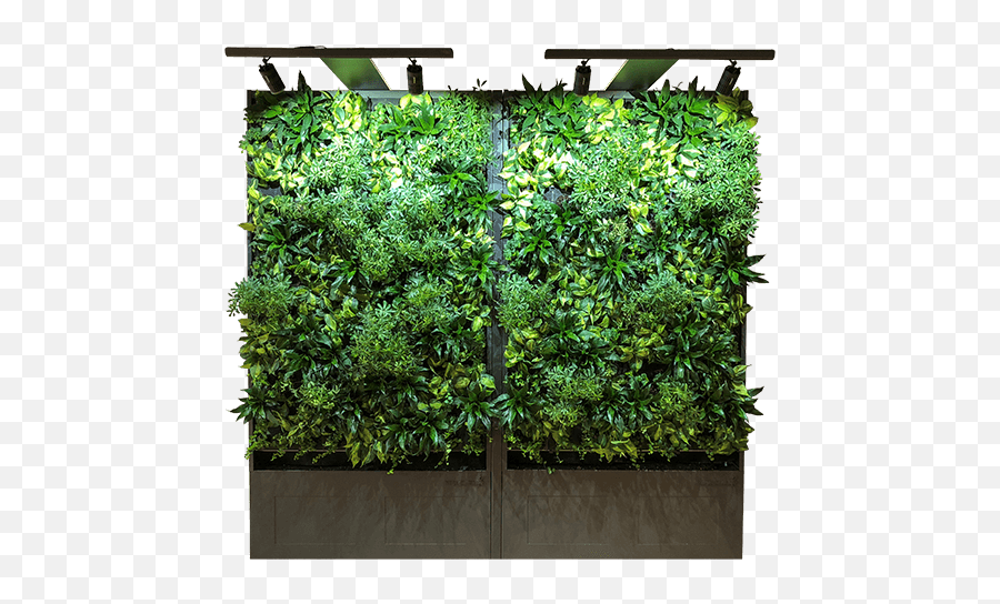 Sagegreenlife Flourish Living Wall U2013 Overwatch - Vertical Png,Overwatch Zerg Icon