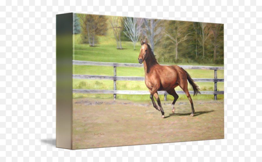 Running Horse By Grant Burke - Sorrel Png,Horse Running Png
