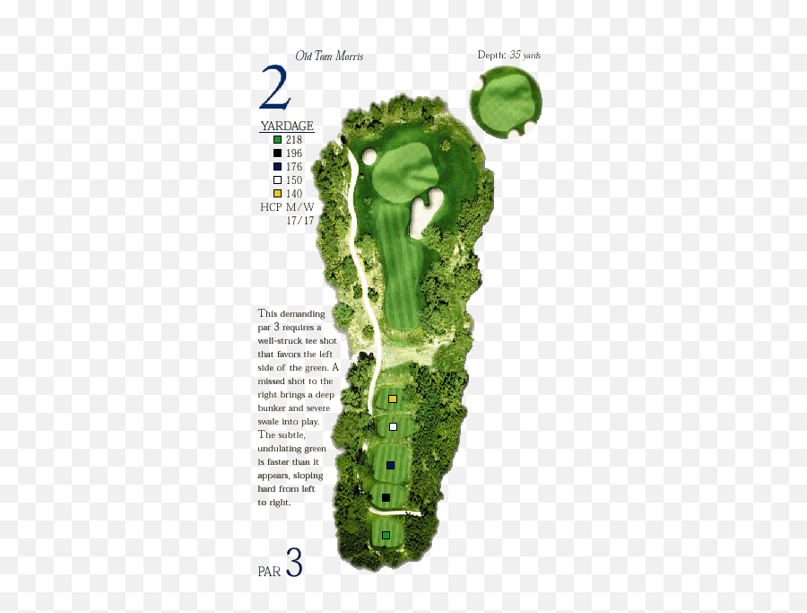 2 - Bear Dance Golf Club Vertical Png,Nike Sb Icon Full Zip