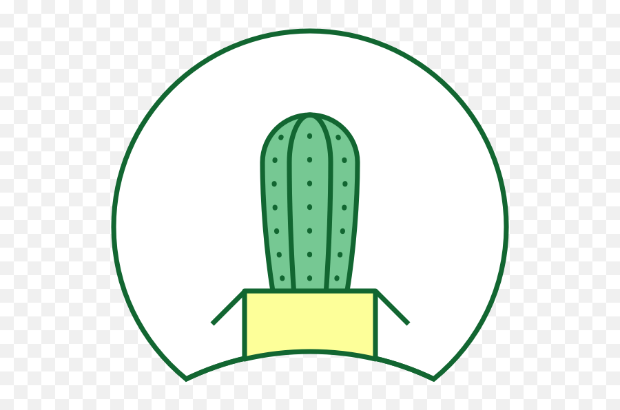 The Cactus Outlet - Healthy Cacti Succulent Plants From Our Dot Png,Cactus Icon