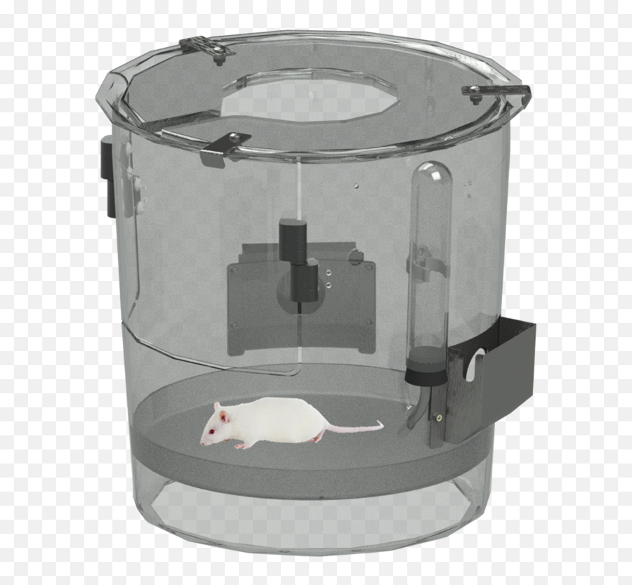 Basi Universal Cage - Rat Png,Cage Transparent
