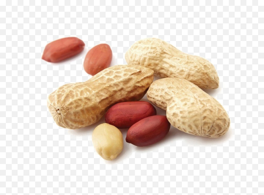 Peanut Transparent Yellow Picture - Ground Nuts Png,Peanut Transparent