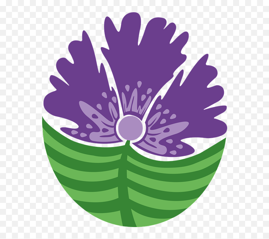 Flower Nature Purple - Free Vector Graphic On Pixabay Water Lilies Png,Lily Pad Icon