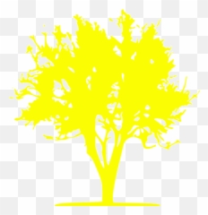 Yellow Tree 21 Icon - Free yellow icons Language png