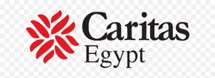 Unhcru0027s Partner Organizations - Unhcr Egypt Caritas Png,Egypt Icon