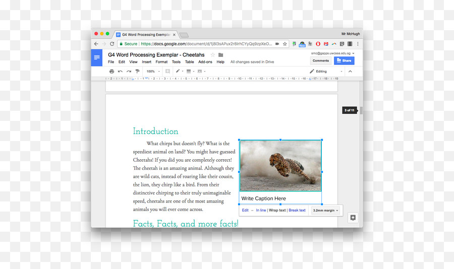 How To Label A Picture In Google Docs Without Typing Next - Language Png,Word Processing Icon