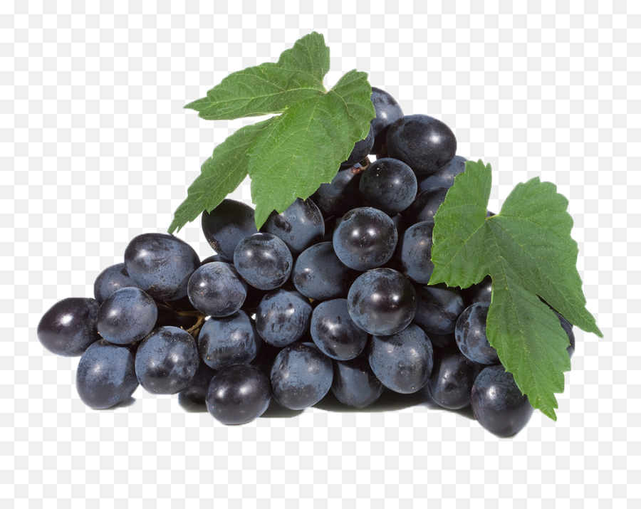 Black Grapes Png Free Download