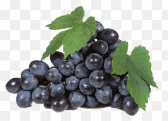 Black Grapes Png Free Download