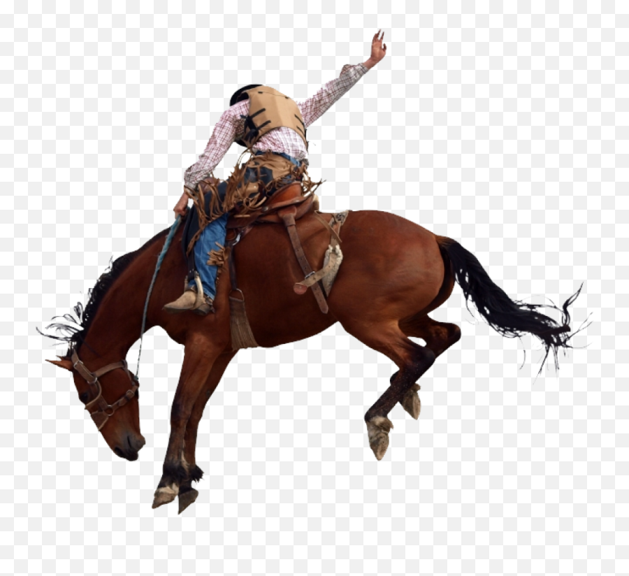 Cowboy Png Image - Purepng Free Transparent Cc0 Png Image Cowboy Horse Png,Cowboy Png