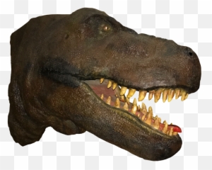 T Rex Head Png 1 Image - Trex