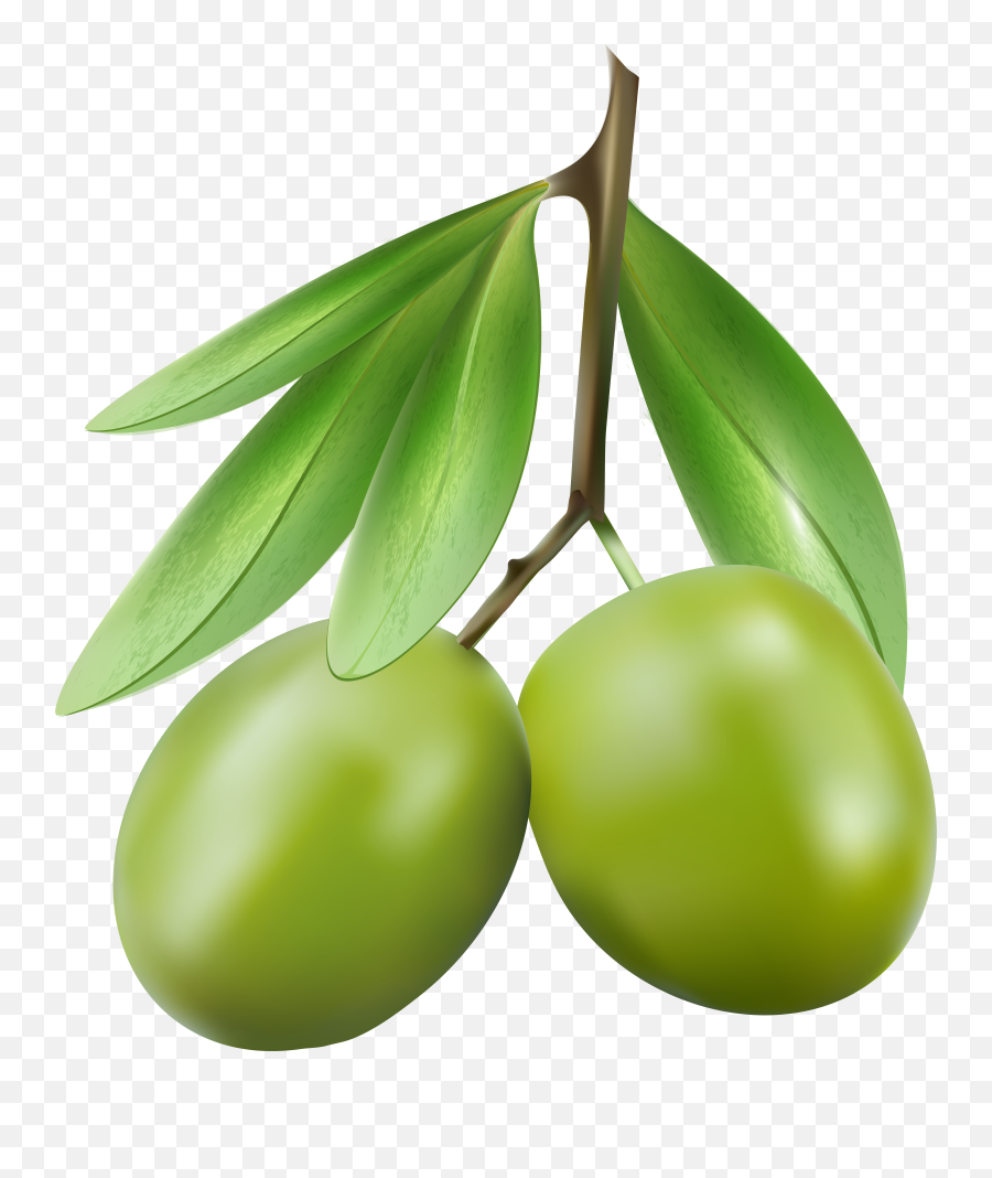 Green Olives Png Clipart - Olives Clipart Png,Olive Png