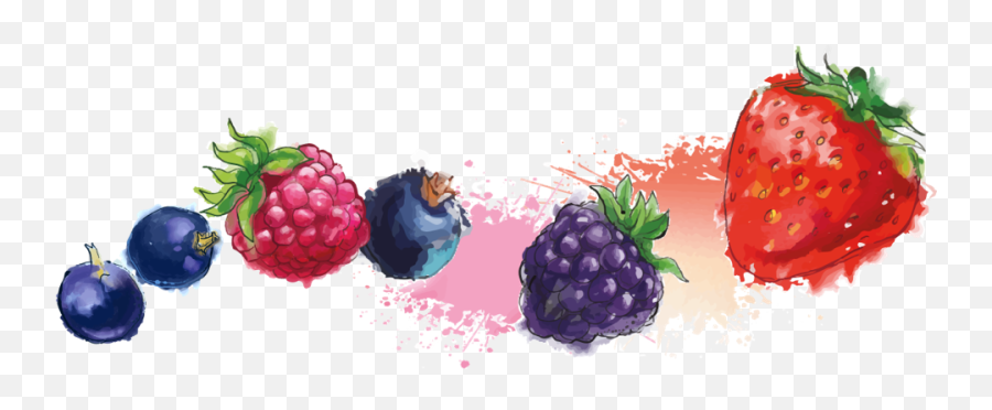 Download Hd Previous - Blackberry Png,Berries Png