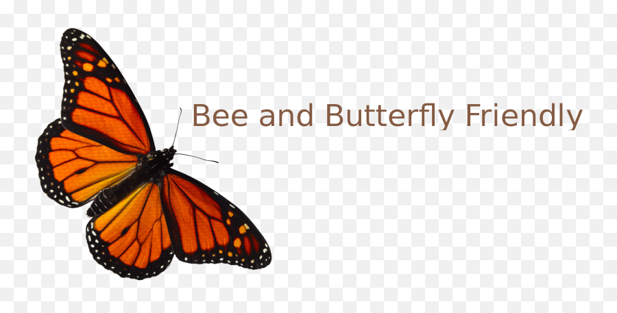 All About Nature U2013 Just Another Wordpress Site - Red And Orange Butterfly Png,Monarch Butterfly Png