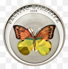 Orangeyellow Butterfly U2013 Cit Coin Invest Ag - Papilio Machaon Png,Yellow Butterfly Png