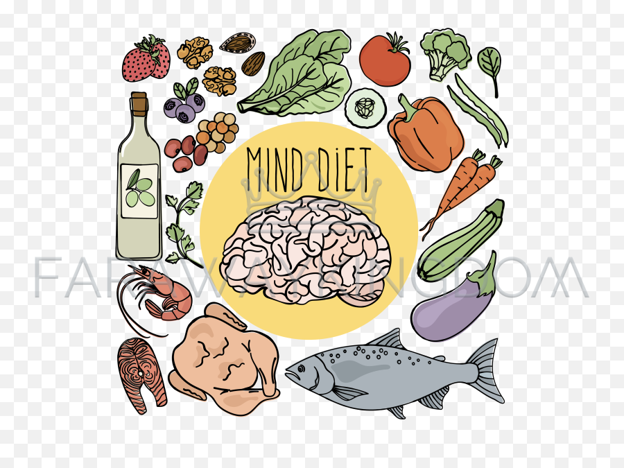 Healthy Brain Mind Diet Nutrition Vector Illustration Set - Vector Graphics Png,Brain Vector Png