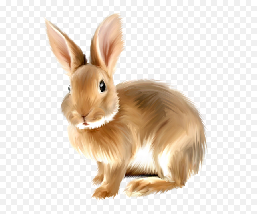 Rabbit Png Images Free - Rabbit Clipart Png,White Bunny Png