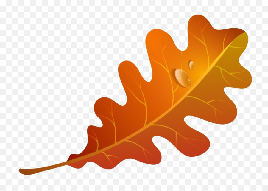 Fall Leaves Png Image - Autumn Oak Leaf Clipart,Falling Leaves Transparent Background