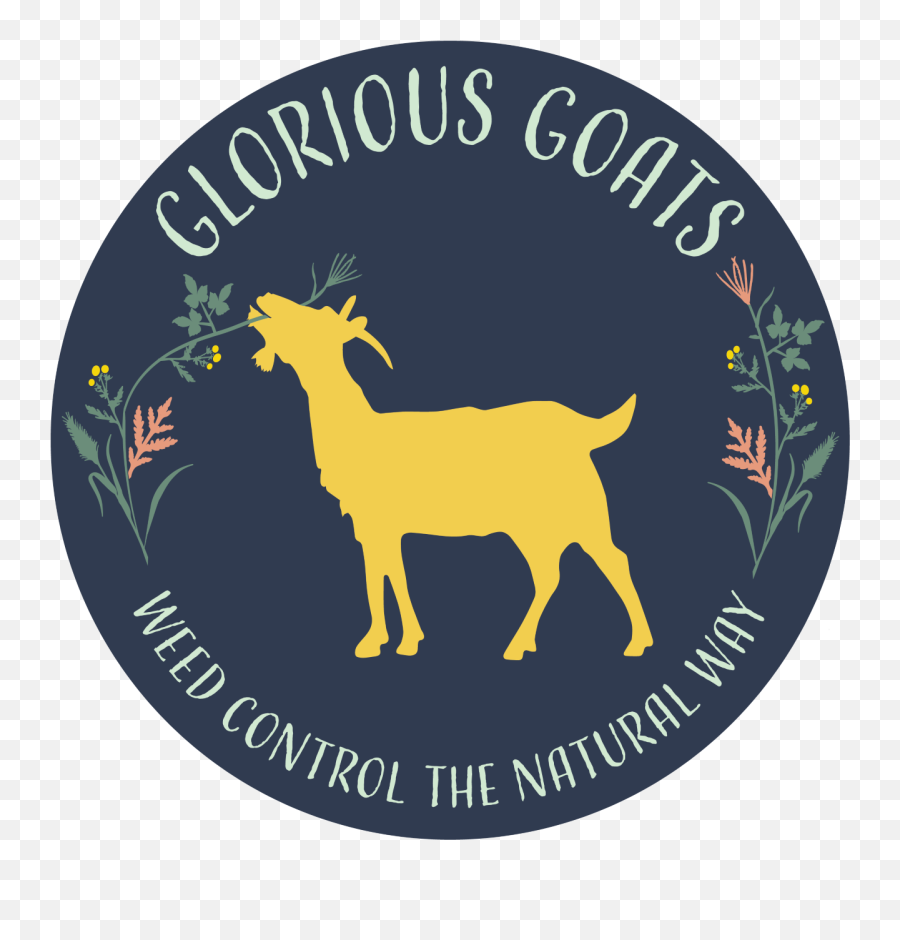 Glorious Goats Northern Virginia Goat Rental - Goat Png,Goat Transparent