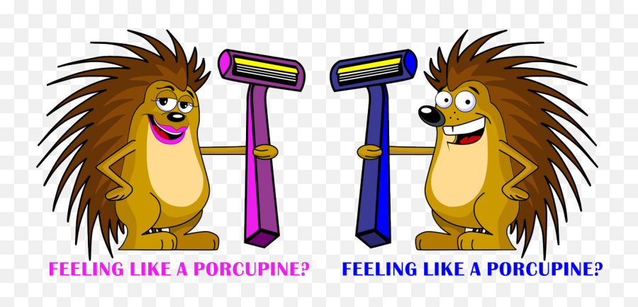 Download Hd 0 Replies 1 Retweet Like - Cartoon Porcupine Cartoon Porcupine Png,Porcupine Png