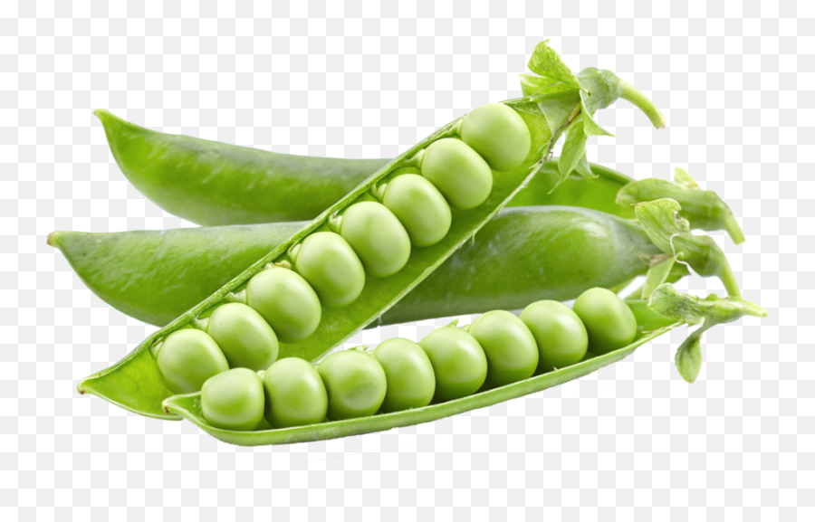 Pea Png - Transparent Background Peas Png,Pea Png