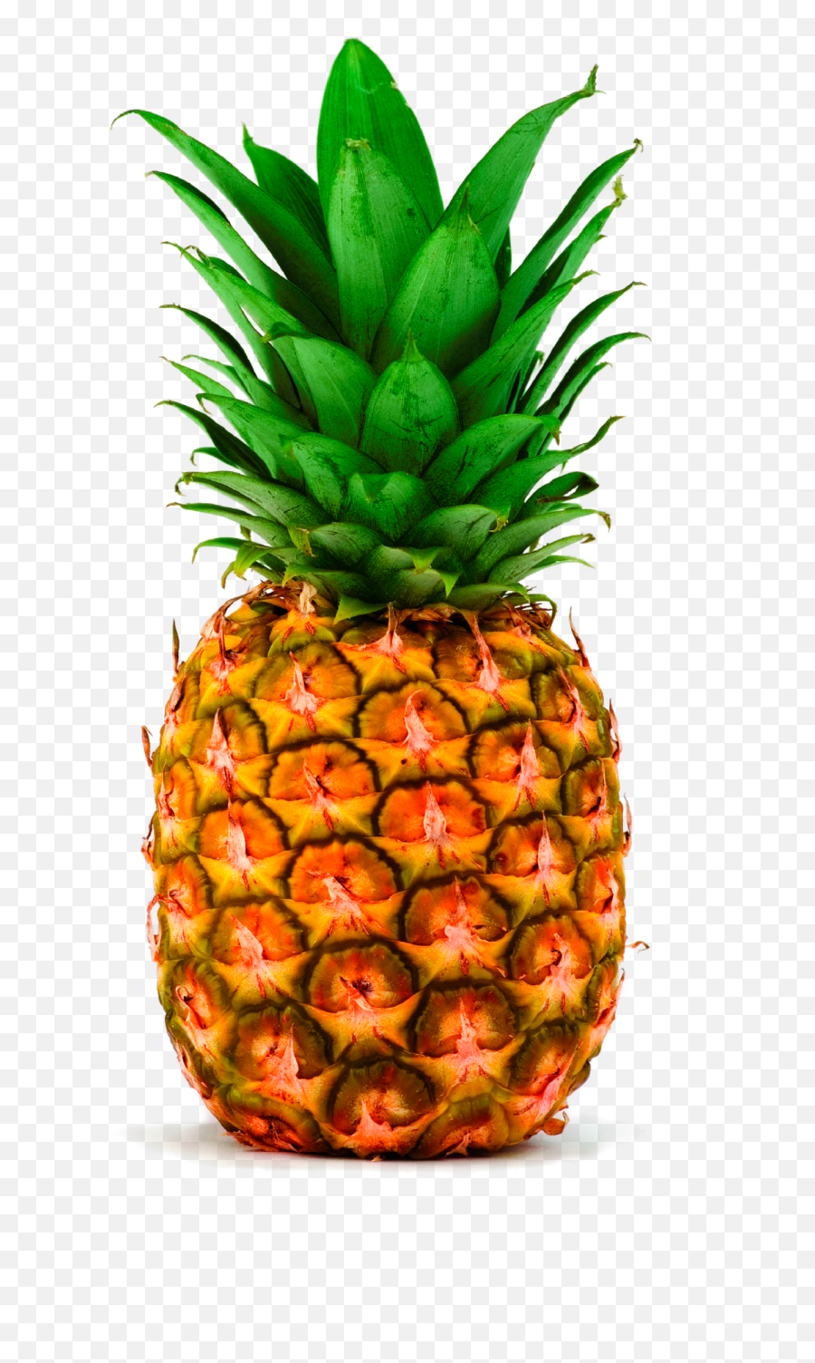Pineapple Png Hd Image Free Download - Transparent Pineapple,Pineapple Transparent Background