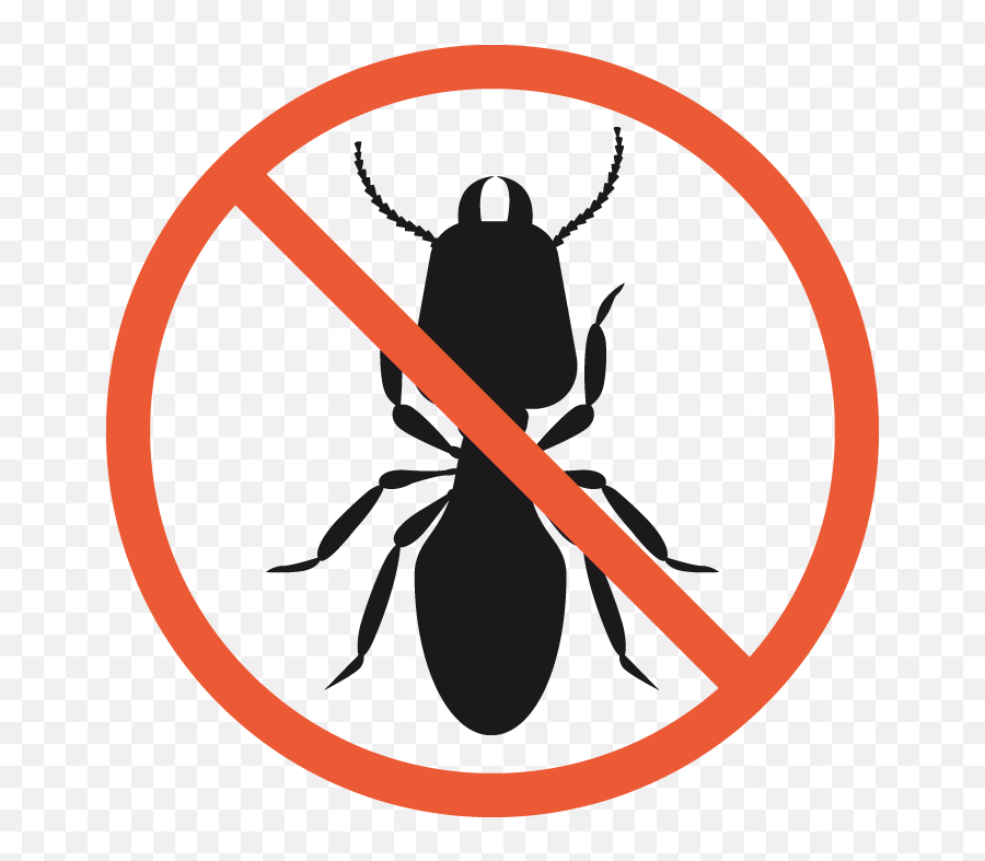 Termites - Catou0027s Exterminating Do Not Use Cutter Sign Png,Termite Png