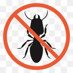Termites - Catou0027s Exterminating Do Not Use Cutter Sign Png,Termite Png