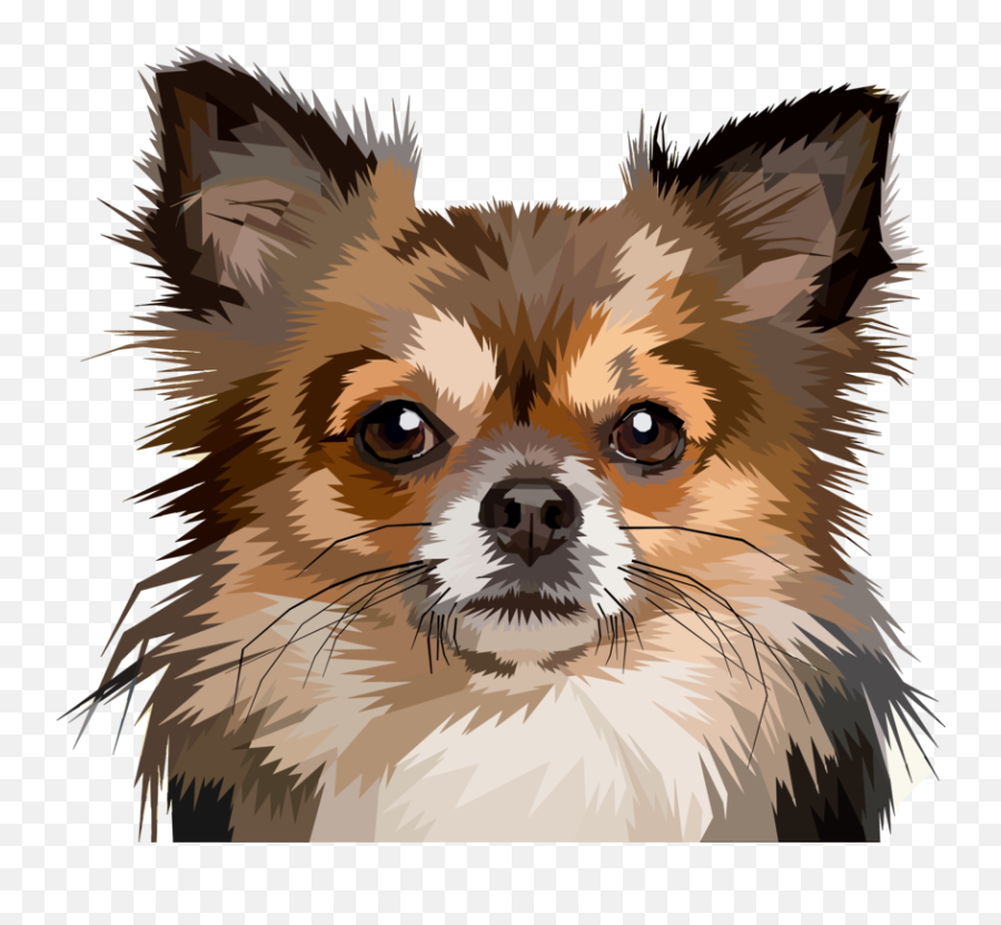 Download Chihuahua Puppy Pomeranian Pet - Chihuahua Dog Art Png,Chihuahua Png