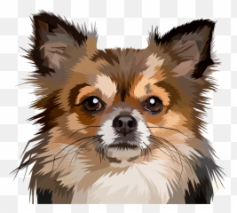 Download Chihuahua Puppy Pomeranian Pet - Chihuahua Dog Art Png,Chihuahua Png