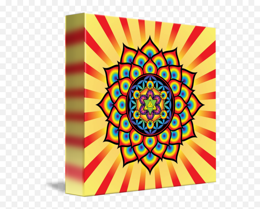 Flower Of Life With Metatrons Cube By Galactic Mantra - Merkaba Mandala Png,Metatron's Cube Png