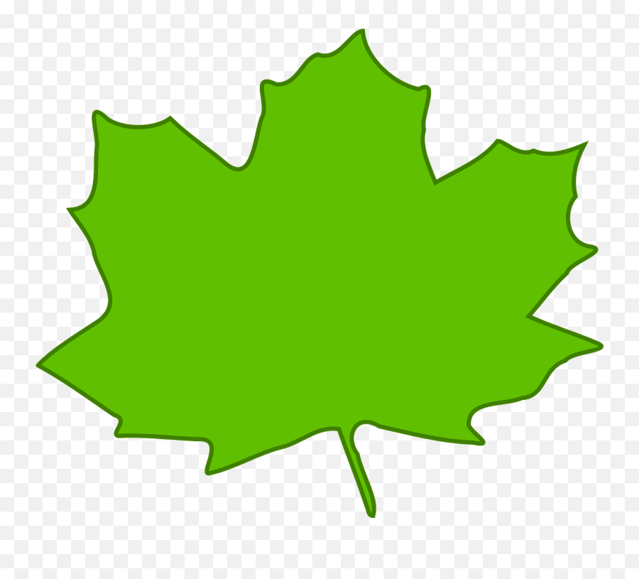Maple Leaf Green - Free Vector Graphic On Pixabay Clipart Fall Leaves Svg Png,Maple Leaf Transparent Background