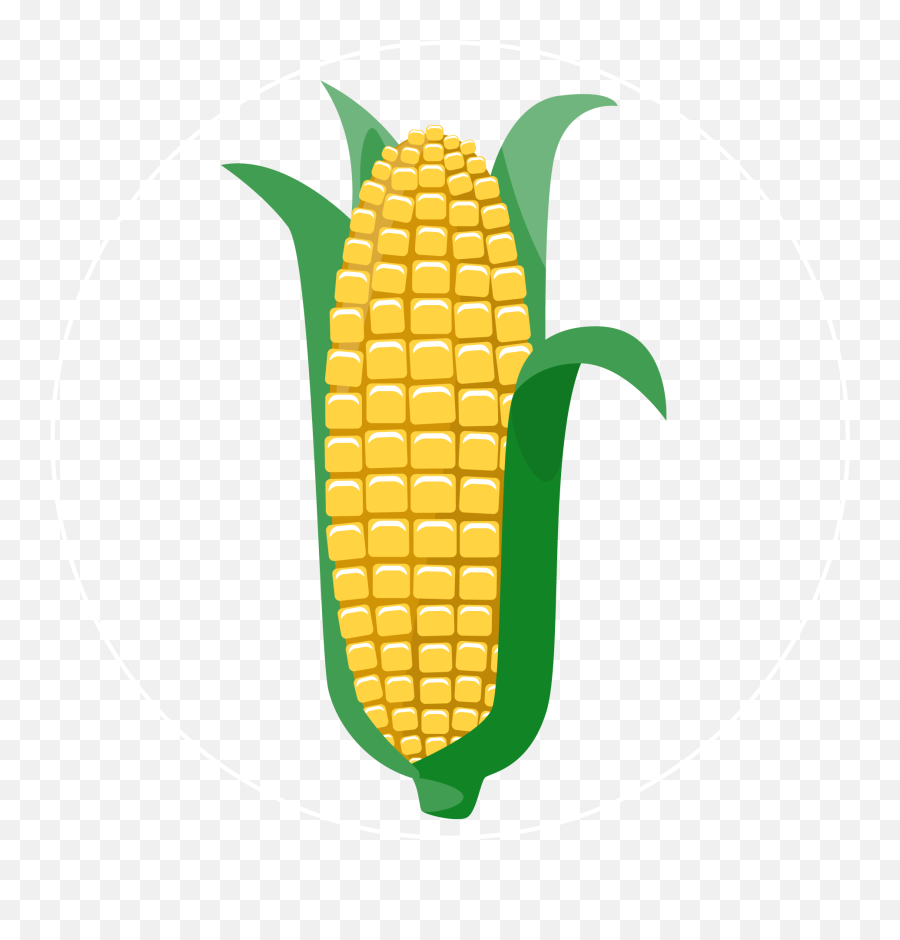 Jason B Graham Corn - Msr Corn Icon Png,Free Pngs For Commercial Use