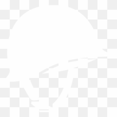Soldiers - Helmet Banner Icon Fortnite png