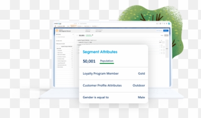 B2c Loyalty - Salesforce Vertical png