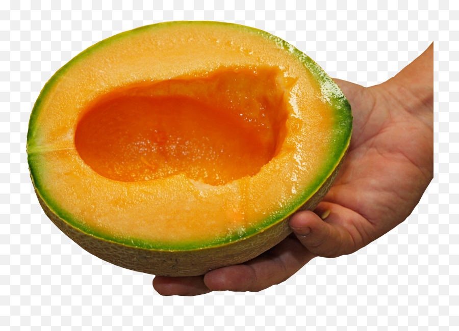 Fda Expands Salmonella - Melon Warning To More Than 20 States Avocado Png,Cantaloupe Png