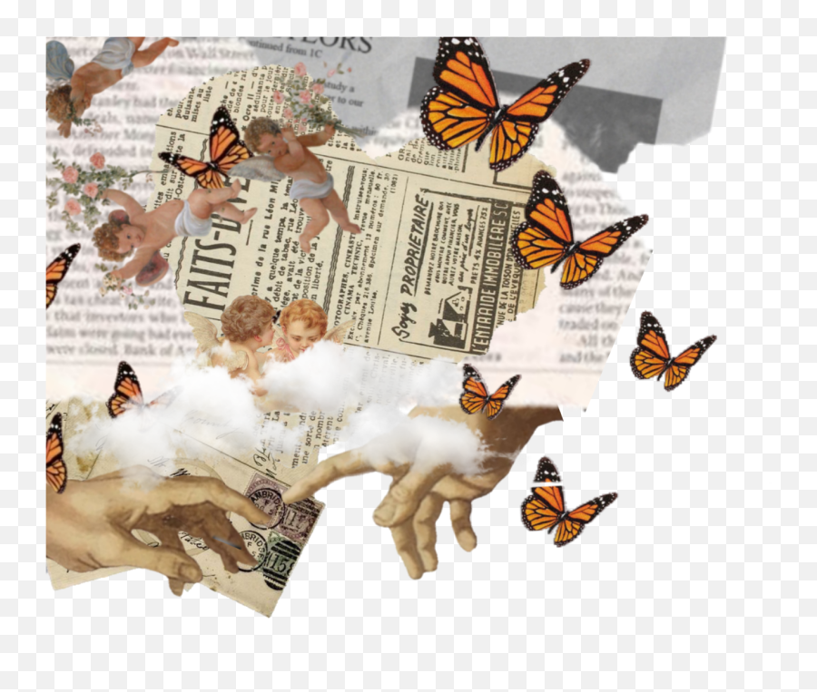 Freetoeditaesthetic Collage Renaissance Paper Butterfly - Butterfly Aesthetic Collage Png,Icon Viceroy