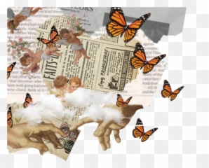 Freetoeditaesthetic Collage Renaissance Paper Butterfly - Butterfly Aesthetic Collage png