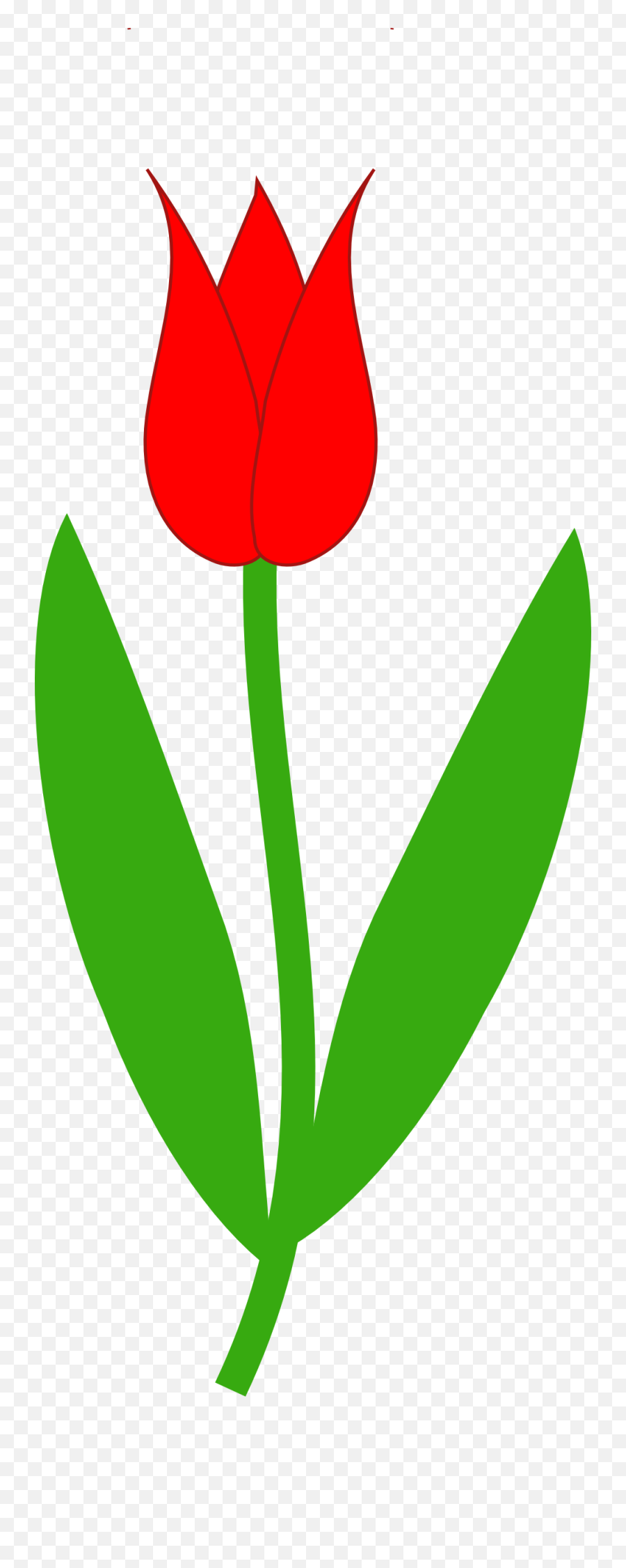 Tulip Leaves Download Transparent Image - Disease Ribbon Color Png,Tulip Transparent