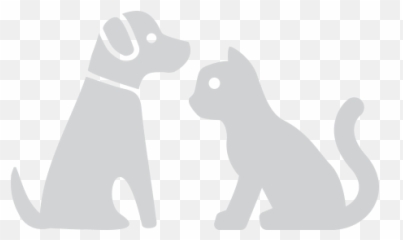 Chronic Conditions In Dogs And Cats Healthy Paws Pet Insurance - Animal Figure Png,Dog Buddy Icon