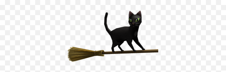 Magic Broom Black Cat - Black Cat Png,Black Cat Png