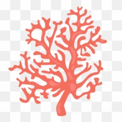 Coral Clipart Png - Transparent Background