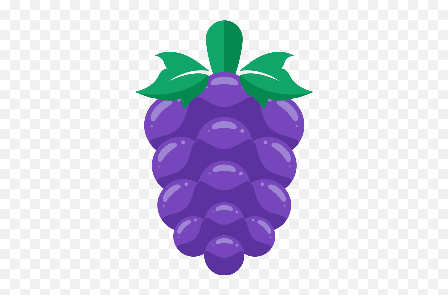 Grapes Png Icon 43 - Png Repo Free Png Icons Seedless Fruit,Grapes Png